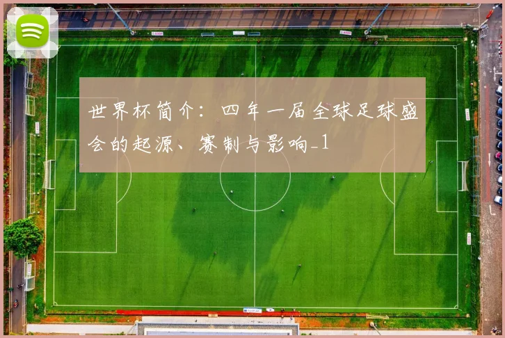 世界杯简介：四年一届全球足球盛会的起源、赛制与影响_1