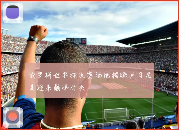 俄罗斯世界杯决赛场地揭晓卢日尼基迎来巅峰对决
