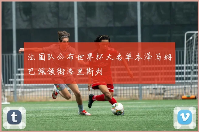 法国队公布世界杯大名单本泽马姆巴佩领衔洛里斯列