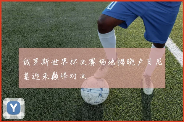 俄罗斯世界杯决赛场地揭晓卢日尼基迎来巅峰对决